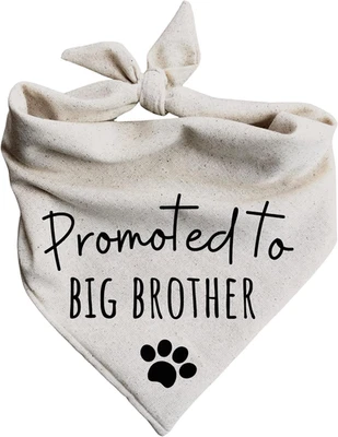 Dog Bandanas Promoted to Big Brother Pregnancy Announcement Baby Reveal Oatmeal  - Image 1 of 4