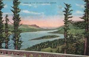 Gorge of the Columbia River, Oregon Vintage PC - Picture 1 of 2
