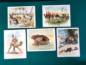 1893 Victorian Set Of 5- Large Size McLaughlin Coffee Trade Cards-RARE SET- STC5 - Picture 1 of 8