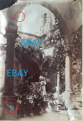 Album Print Wilhelm von Gloeden (1856-1931) Catalogue No. 046 B - unknown - Image 1 of 4