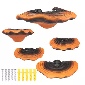 5 Pcs Mushroom Shelves Resin Mushroom Floating Shelves Reishi Shaped - Picture 1 of 11