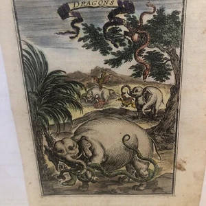 1683 Mallet engraving of dragons - Picture 1 of 2