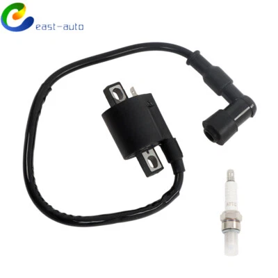 Bobina de encendido para Yamaha PW50 PY50 PEEWEE 50 Pit Dirt Bike Bujía Cable Foto 1 de 4