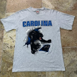 Vintage Carolina Panthers T-Shirt Large Nutmeg 1993 Double Sided USA Made - Picture 1 of 11