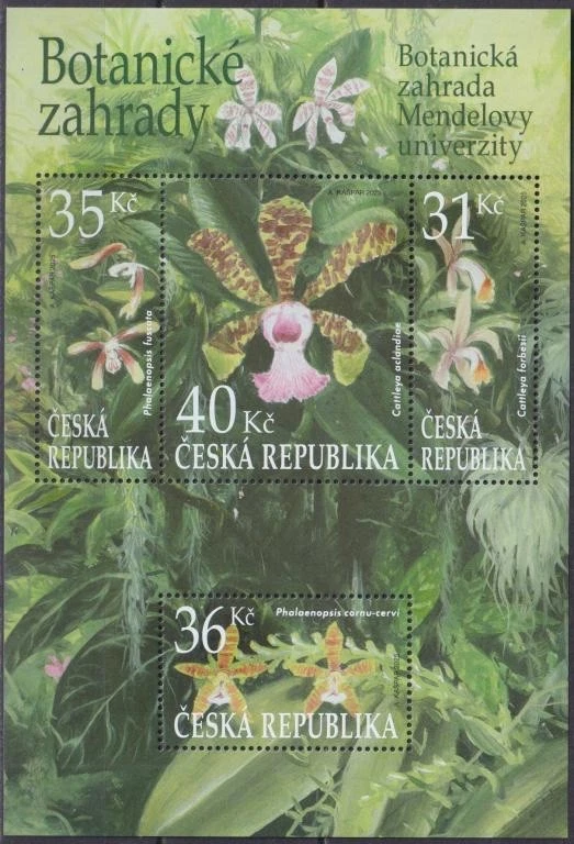 Czech Republic 2025 Flora, Nature, Flowers, Orchids, Botanical Garden MNH** - Imagem 1 de 1