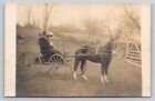 Carriage horse driver buggy Couple pretty woman big hat rppc photo Postcard