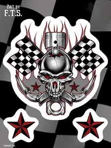 RACING SKULL Vinyl Stickers TOOLBOX Decal SET - Picture 1 of 1