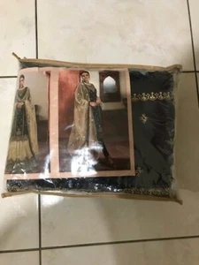 Bollywood Elegante Indio Boda Fiesta Ropa Lengha Diseñador Elegante Lehenga Choli - Imagen 1 de 4