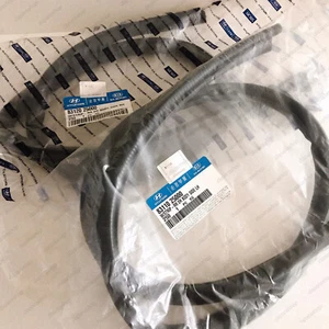 83120, 83110 25000 Genuine OEM W/STRIP-RR DR BODY SIDE RH, LH For HYUNDAI 1999-2 - Picture 1 of 3