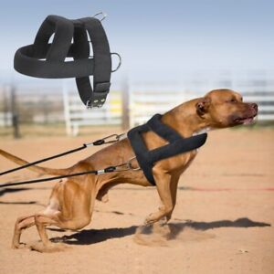 Dog Weight Pull Harness Padded Dog Harness Large Large Dog Training Harness