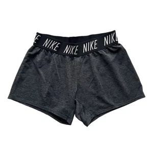 Nike Gray Dri-Fit Shorts Size L(14-16) - Picture 1 of 3