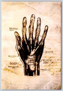 Postcard Human Hand Anatomy Biology Science Illustration Medical Science - Picture 1 of 2