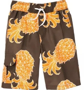 NWT Boys 5 Gymboree PINEAPPLE SWIMMING TRUNKS Elastic Waist, Mesh Insert Brown - Picture 1 of 1