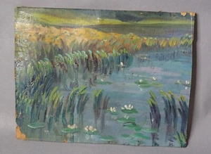 1970 Vintage sowjetisch russisches Öl auf Karton Gemälde Sumpf Rohrkolben Seerose Landschaft - Bild 1 von 2