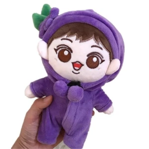 Muñeco de peluche Chanyeol bebé Blueberry Park 20 cm KPOP EXO juguete de peluche con ropa - Imagen 1 de 14