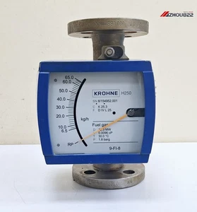 Krohne H250 / H250/RR/M9 Misuratore di portata ad area variabile con flangia - Foto 1 di 14