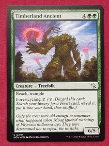 Magic The Gathering MARCH OF THE MACHINE TIMBERLAND ANCIENT green card MTG - Picture 1 of 2