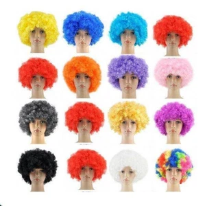 16 x LOCKIGES AFRO FANCY KLEID PERÜCKEN FUNKY DISCO CLOWN DAMEN KOSTÜM gemischte Farben - Bild 1 von 1
