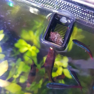 ECMCRAFT Aquarium Frozen Food Feeding Cup Tray Feed Live Artemia Bloodworm Brine Shrimp