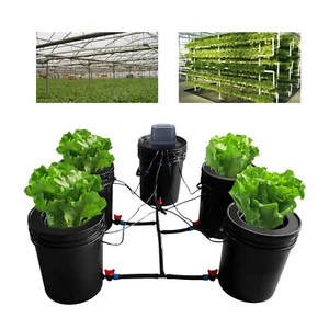 5 Gallon 5 Buckets Hydroponics Grow System Kit Recirculating Deep Water Culture - Picture 1 of 11