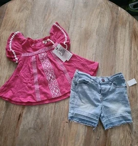 Nwt Jessica Simpson Pink embroidered flutter shirt detructed shorts set 18m girl - Picture 1 of 7