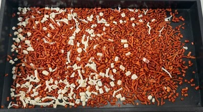 Antique Estate Lot of Red and White Angle Skin Coral Beads - Image 1 of 4