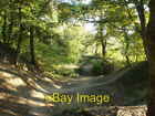 Photo 6X4 Woods Off Gorge Rd, Hurst Hill. Sedgley Old Limestone Workings, C2007