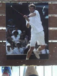 ANDREW MURRAY WIMBLEDON 6X8 COLOUR PHOTO TENNIS - Picture 1 of 1