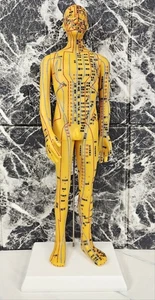 Acupuncture Model Male 21 Inch with Stand - Anatomical Model Body Figure - Picture 1 of 3
