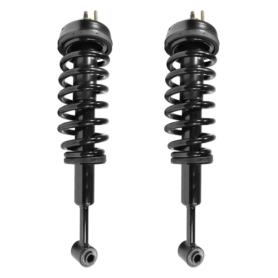 Front Pair Complete Struts & Coil Springs for Ford Explorer Mercury Mountaineer Foto 1 de 1