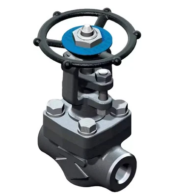 OMB High-Pressure Class 800, Steel, Standard Port, 3/4 NPT Female #20 - Image 1 of 4