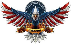 INSEGNA PERSONALIZZATA SPACE FORCE AMERICAN EAGLE US FLAG 42" HEAVY DUTY USA METALLO - Foto 1 di 1
