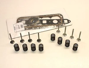 EINLASS- & AUSLASSVENTILE FEDERN & DICHTUNG SET AUSTIN HEALEY FROGEYE SPRITE FRÜH - Bild 1 von 1