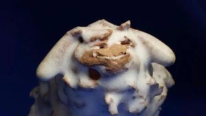 Small Brutalist Art Pottery Lamb Figure Sculpture - Outstanding - Unknown - Picture 1 of 12
