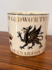 VTG 1969 COMMEMORATIVE MUG PRINCE CHARLES INVESTITURE WEDGWOOD RICHARD GUYATT - Picture 1 of 5