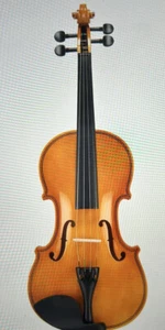 Full Size 4/4 Violine Set für Erwachsene Anfänger Schüler mit Hartschalenkoffer, Geigenbogen - Bild 1 von 8