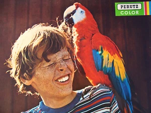 Vintage Perutz Color Werbung Reklame beidseitig Werbe-Bild 70er Jahre Deko 58x48 - Bild 1 von 12
