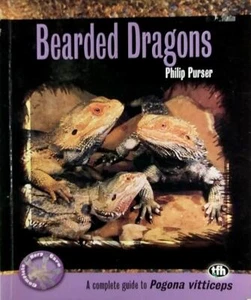 Bartdrachen (Pogona Vitticeps) (komplette Herp-Pflege) von Philip Purser / 2006 - Bild 1 von 1