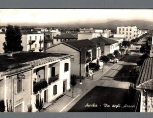 Latina Aprilia via degli aranci F. Grande spedita - Foto 1 di 2
