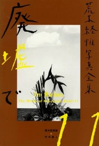 Die Werke von Nobuyoshi Araki 11 Fotobuch ""In Trümmern"" Japan 1. Auflage - Bild 1 von 1