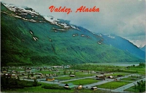 Valdez AK Aerial View Birds Eye Switzerland of Alaska postcard P25 - Picture 1 of 2