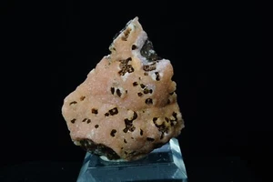 Rodocrosite / Santa Eulalia, Messico / Esemplare minerale - Foto 1 di 5