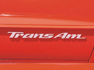 PONTIAC TRANS AM DOOR EMBLEM OVERLAY DECALS FITS 93-02 - Picture 1 of 3