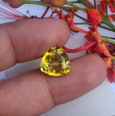 Flawless6.65Ct Natural Montana Yellow Sapphire Certified Trillion Loose Gemstone - Image 1 of 4