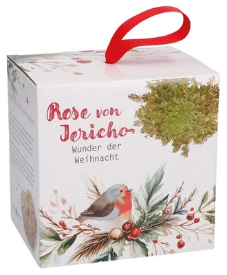 Wunder der Weihnacht | Rose von Jericho | Deutsch | 2025 | Butzon & Bercker