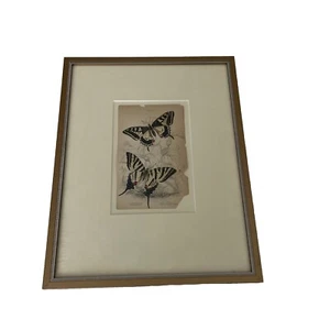 Antique Rare Butterfly Moth Engraving William Lizars, 1830s to 1840s plate 4 - Picture 1 of 10