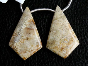 Par de cuentas de piedras preciosas Briolette cometa fósil natural (33020) - Imagen 1 de 5
