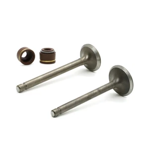 For Yamaha Intake Exhaust Valves w/ Seals 1985-05 YFM80 BADGER RAPTOR MOTO-4 NEW - Picture 1 of 12
