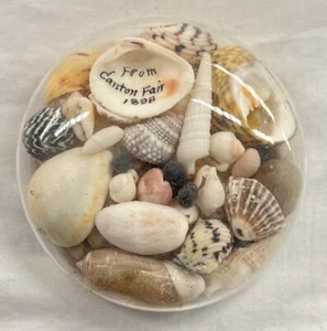 1898 Canton Fair Canton, Massachusetts Souvenir Glass Paperweight Shells - Picture 1 of 6