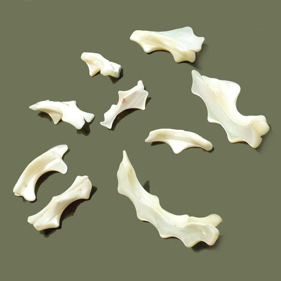 Perlen aus Muscheln Perlmutt 15-45 mm ca. 85 Stück Spacer nenad-design R047 - Bild 1 von 4